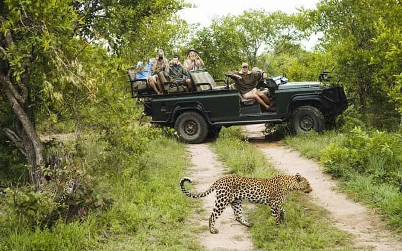 Wildlife Sanctuary